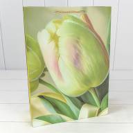 Пакет подарочный с блёстками "Тюльпаны" (микс 256) 30*41,5*12 210г 1/20 1/80 Арт: 000256A - Пакет подарочный с блёстками "Тюльпаны" (микс 256) 30*41,5*12 210г 1/20 1/80 Арт: 000256A