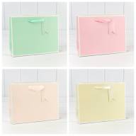 Пакет подарочный Однотонный в рамке (микс) 23*18*10 1/20 1/360 Арт: 000169EA - Пакет подарочный Однотонный в рамке (микс) 23*18*10 1/20 1/360 Арт: 000169EA