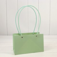 Пакет подарочный "Ваза для цветов" 22*13,5*10,5 230г Бледно-зелёный 1/10 1/120 Арт: 000170EA/559